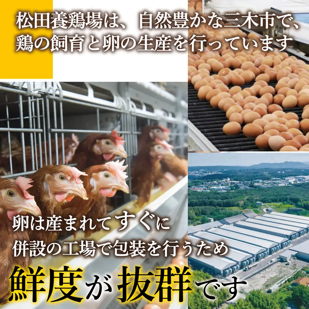 【オーイ！とんぼ×松田養鶏場コラボパッケージ】産地直送  松田養鶏場のひょうごの赤たまご60個（50個+割れ補償10個）【北海道・沖縄・離島 配送不可】