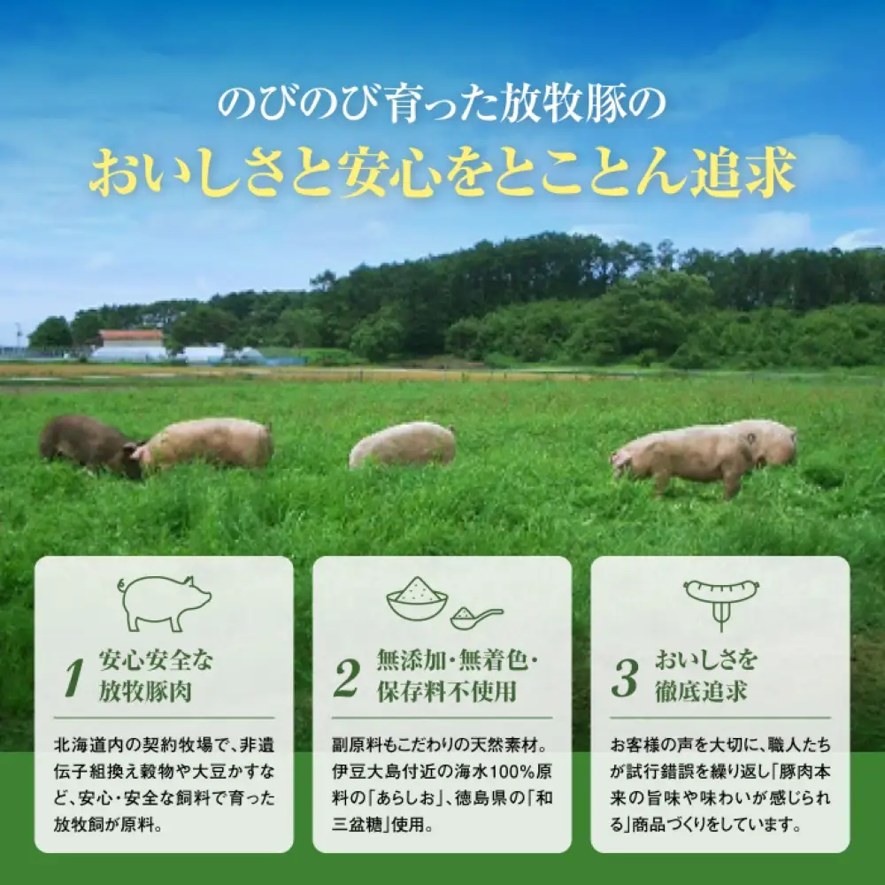 【定期便：3回】《毎月違うのが届く！》北海道産放牧豚 無添加ウインナー・ソーセージ定期便（3種各10個）【12010101】