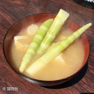 【令和9年産先行予約】月山筍 サイズミックス 2kg　がっさん たけのこ　鶴岡市朝日東部地区自治振興会