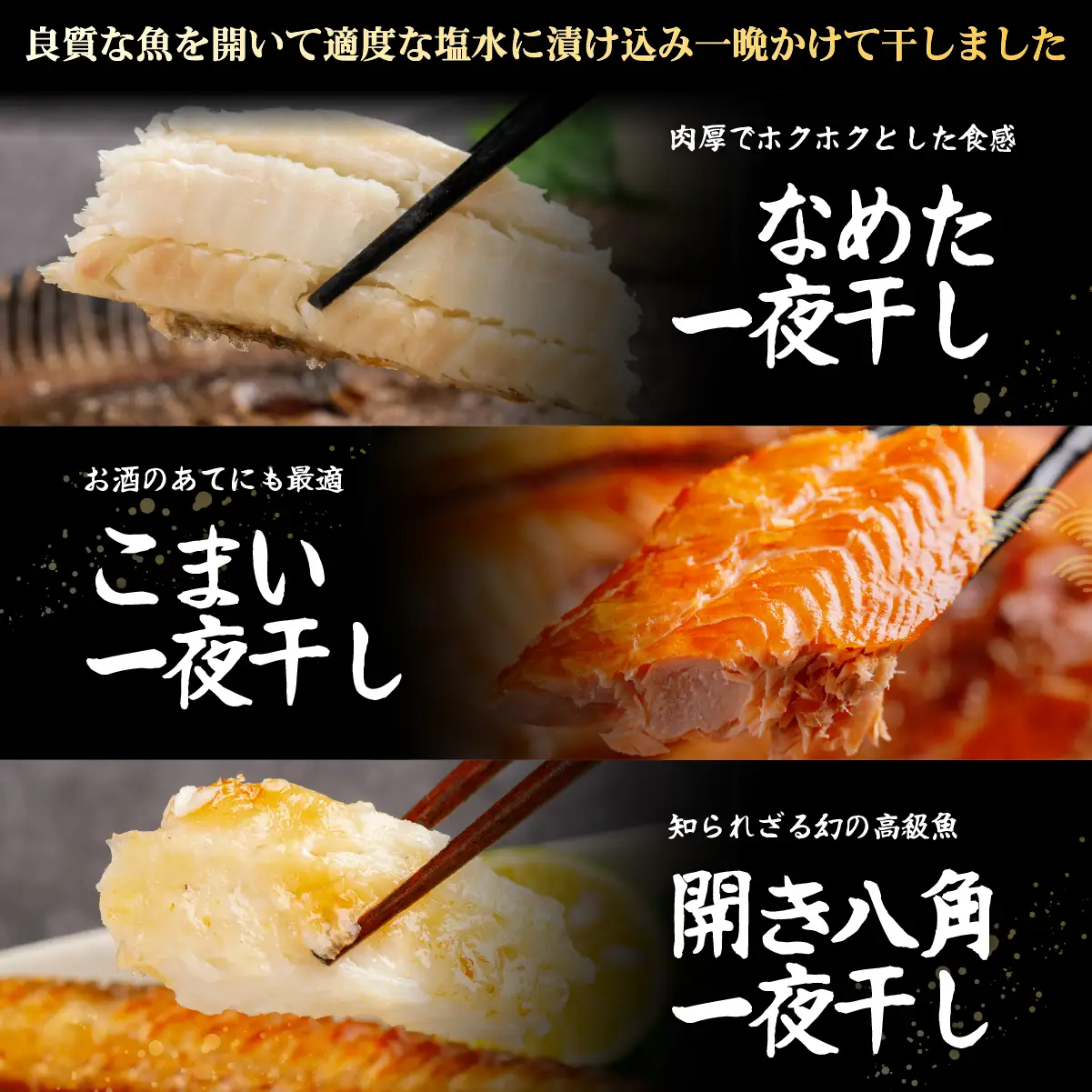 網走加工の一夜干しセット 5種B ABB173