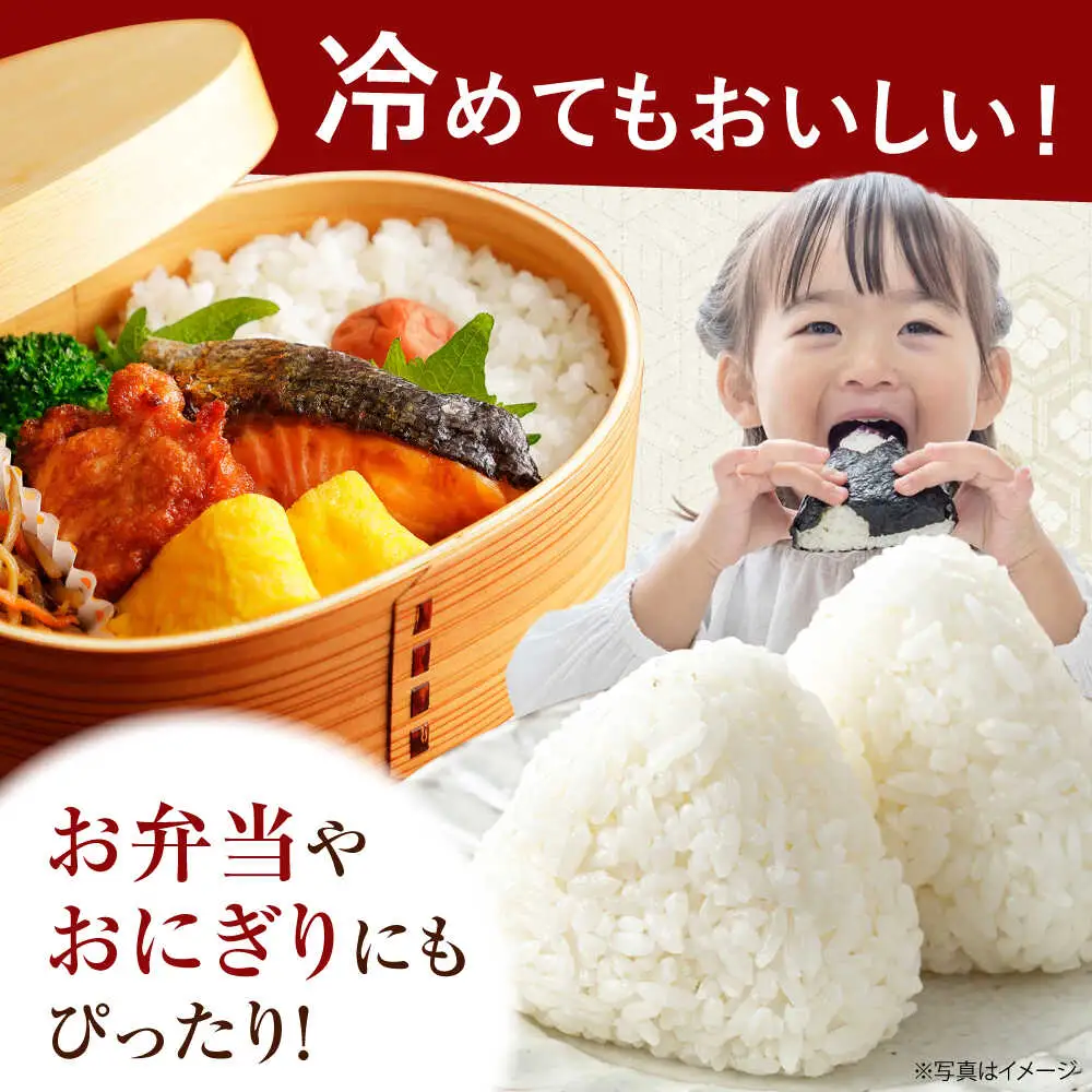 【先行予約】令和8年度 新米 はるみ 5kg【なんかいファーム】 新米 [BDBD002]