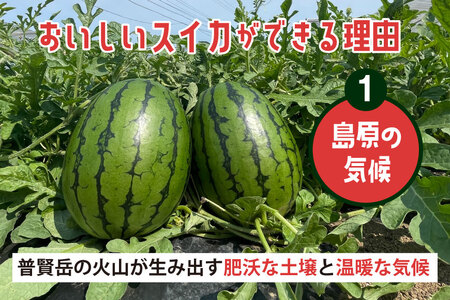 BJ462 【令和9年度出荷分】 Farm honda 小玉スイカ 3～5玉 約10kg