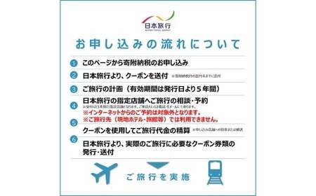 福岡県柳川市 日本旅行 地域限定旅行クーポン60,000円分（30,000円分×2枚）旅行クーポン 旅行 観光 クーポン 家族旅行 柳川市