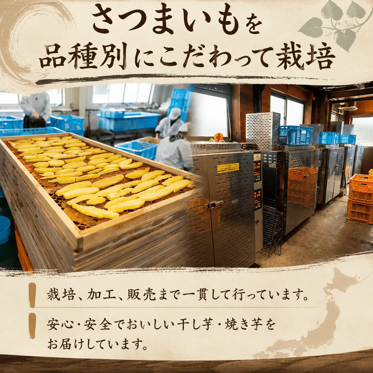 訳あり 干し芋 紅はるか 1.5kg 干し芋
