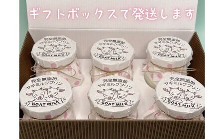 完全無添加ヤギミルクプリン (12個入り) プリン（愛知ヤギ農場）