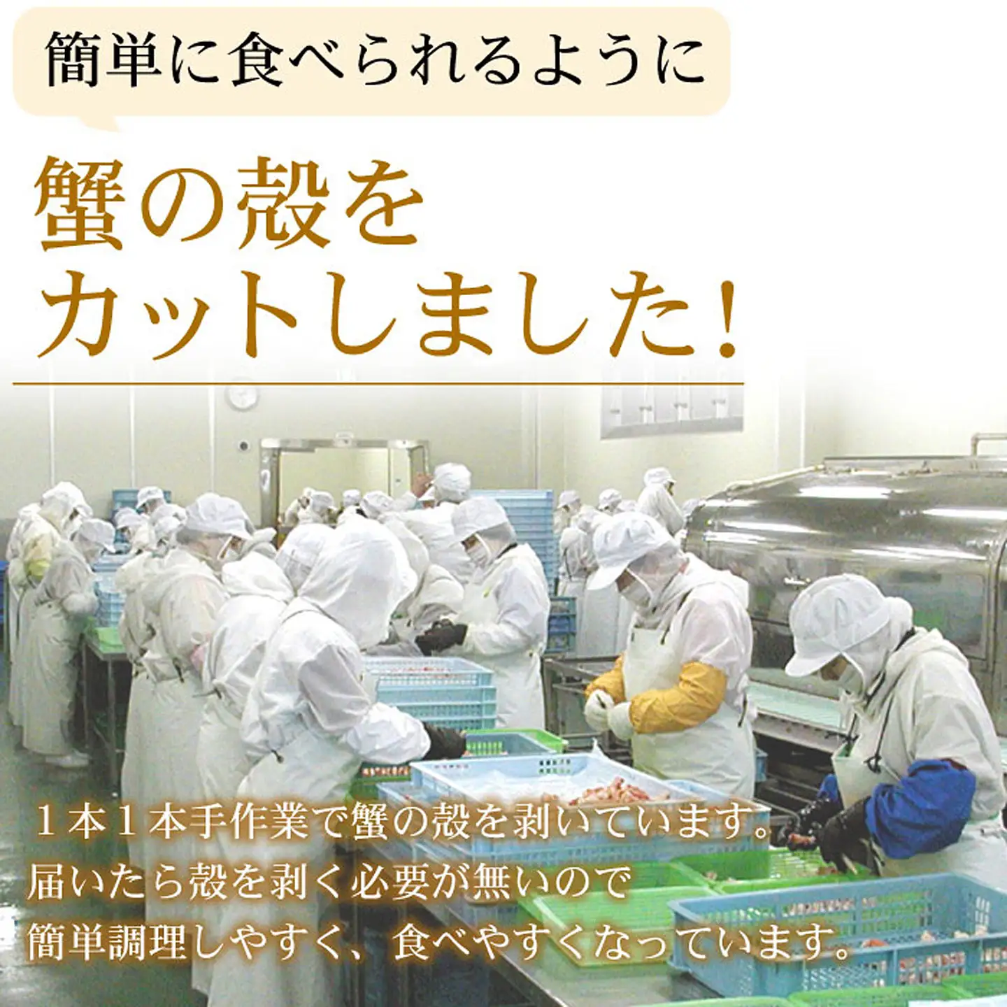 ズワイガニのかに爪刺身セット(計1kg入) B-56020