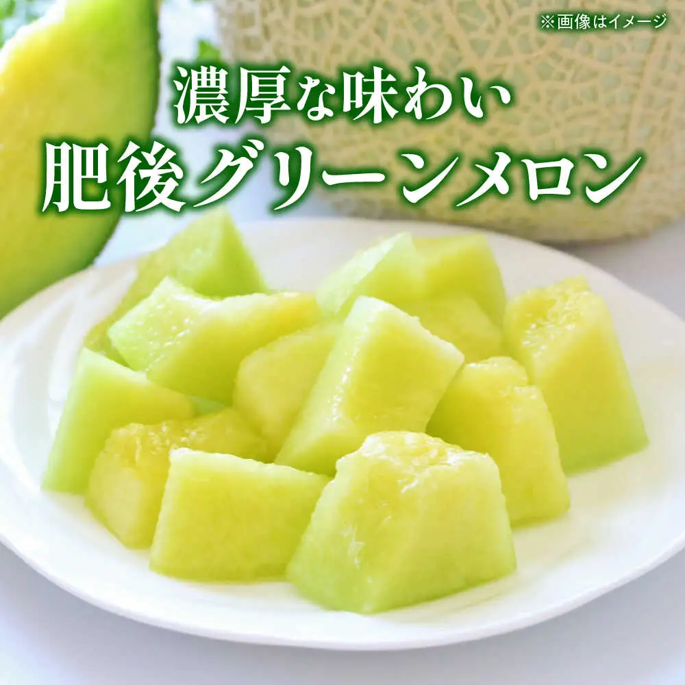 【先行予約】 小玉スイカ＆肥後グリーンメロンの食べ比べ 各1玉（計2玉 約3.5kg） すいか 小玉 メロン グリーンメロン 熊本 フルーツ 野菜 果物 【日本フルーツ株式会社】[ZFJ040]