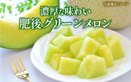【先行予約】 小玉スイカ＆肥後グリーンメロンの食べ比べ 各2玉（計4玉 約7kg） すいか 小玉 メロン グリーンメロン 熊本 フルーツ 野菜 果物 【日本フルーツ株式会社】[ZFJ041]