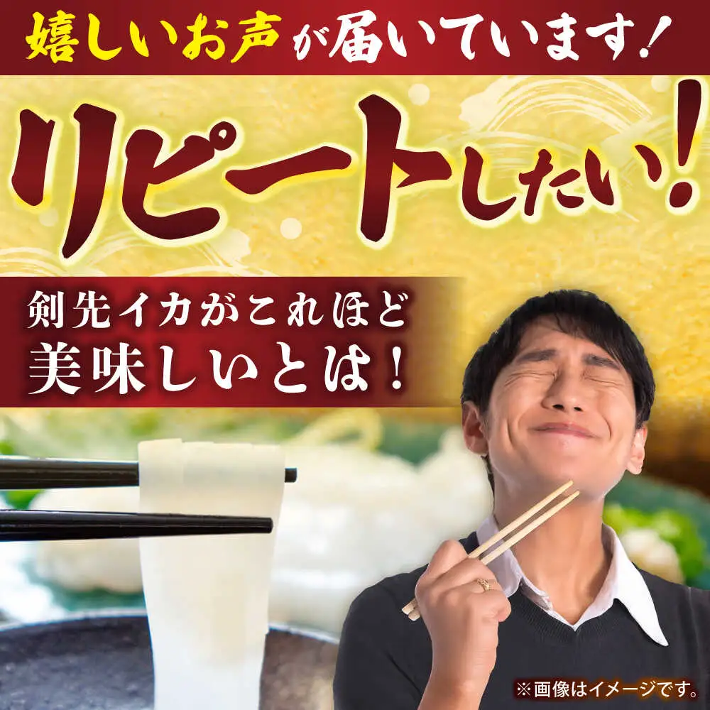 【お中元】剣先イカ 刺身用 500g [JCC024] イカ刺し