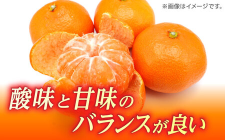 【先行予約】 温州みかん 『白川』 約5kg S～Lサイズ 【奥村果実園】[ZFK007]