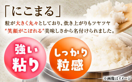 【R7年度産・白米】長崎県佐々町産「にこまる」5kg[QCD001]