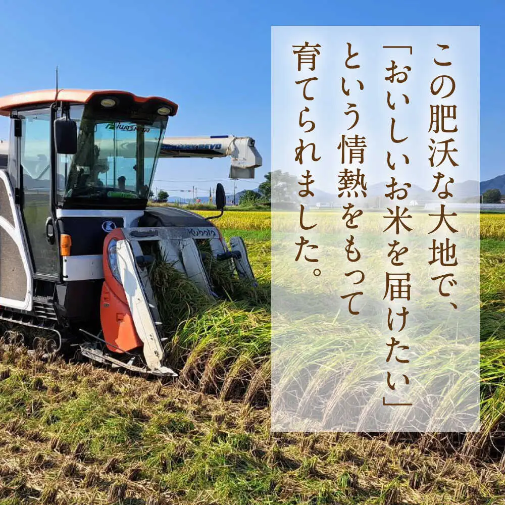  ヒノヒカリ 玄米 6kg（2kg×3袋） 【株式会社 岩下農園】[ZFS005]