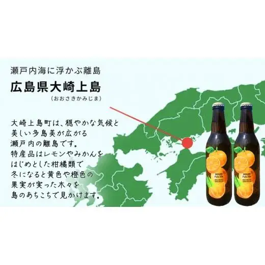 クラフトビール みかんペールエール 330ml × 6本セット