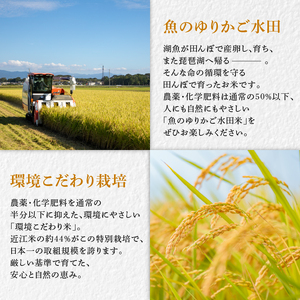 【令和7年産】減農薬米 近江米 みずかがみ 白米 5kg ［shiba07] 白米