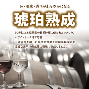 Kura Master2025 麦焼酎部門プラチナ賞受賞【天の刻印 秘伝】 N076-YB353