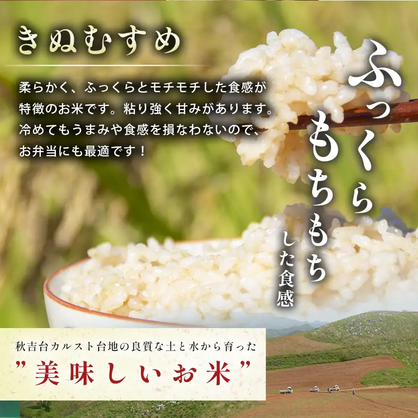 令和8年度産 新米 きぬむすめ 玄米 5kg 村上農園 先行予約 ＜ 2026年10月中旬より11月末まで順次発送 ＞