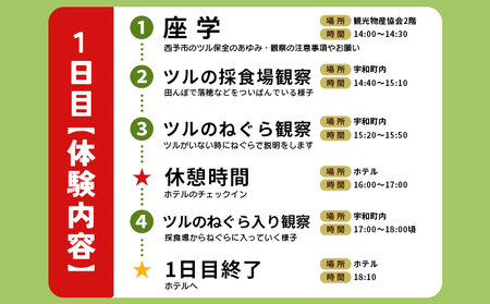 ＜ツルのねぐら・採食場観察ツアー（ねぐら立ち見学付き）＞ つる ツル 鶴 鳥 野鳥 貴重 体験 観察 ツアー ねぐら ネグラ ねぐら観察 ねぐら入り ねぐら立ち ナベヅル 鍋鶴 マナヅル 真鶴 真名鶴 野鳥観察 採食場 西予市観光物産協会 愛媛県 西予市 USB0008