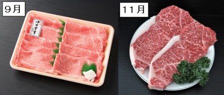 伊万里牛食べつくし 定期便 6回便  モモスライス入り ステーキ 焼肉 10万円コース 999-J251