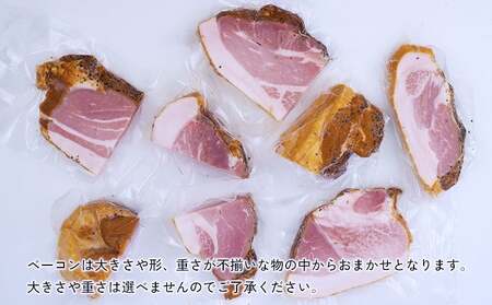 アグー豚「パイとん」ベーコン 約500g&オリオン麦職人 350ml×24本