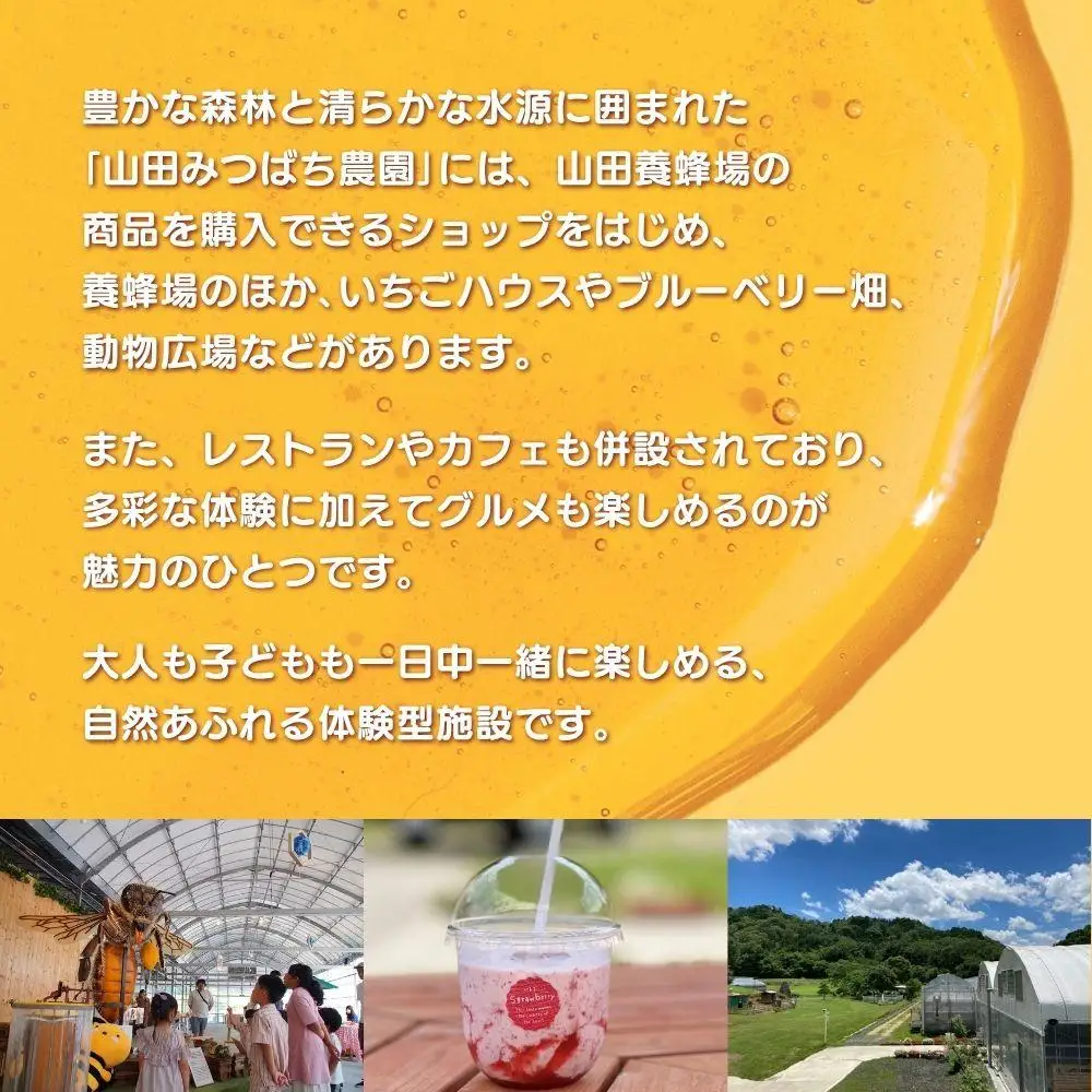 ［山田みつばち農園］1Dayフリーパス（1月～5月）いちご狩り付き 049-a002