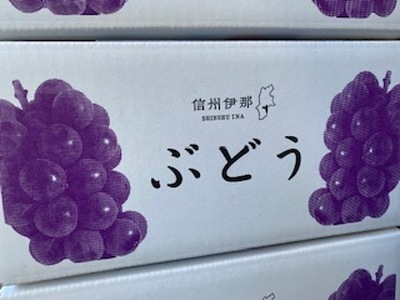 信州伊那産ぶどう　クイーンルージュ(R) (1.0kg以上)｜ぶどう 葡萄 クイーンルージュ 種なし ぶどう高級 フルーツ ギフト フルーツ 旬のフルーツ 伊那市 長野県産 【014-49】