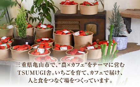 発送月が選べる いちご 5品種 おまかせ 食べ比べセット 農 × カフェ 旬のフルーツ 亀山市 / TSUMUGI舎[AMCF001]