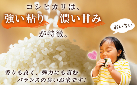 【第2弾 受付開始】新米 ＜令和8年産 コシヒカリ 約10kg×12回 温州みかん2kg×1回 西予市宇和町産＞ 白米 精米 楠さんの一等米相当 選べる 配送回数 お米 ご飯 愛媛県 西予市【常温】『2026年9月上旬から順次出荷予定』 UKK0010