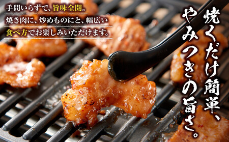 ＜訳アリ＞和牛ホルモン（大腸）　特製味噌漬け　2.1kg(300g×7）【2026年10月発送】