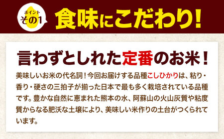 【隔月6回定期便】令和7年産 こしひかり 10kg 無洗米 無洗　《お申込み翌月から出荷》