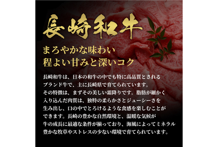 AI276 長崎和牛 半頭分買い 一括納品