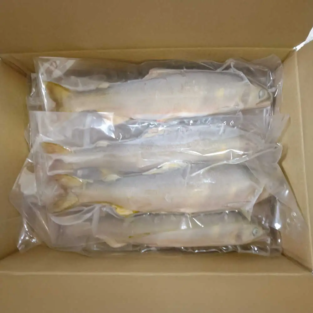 日田産養殖鮎(冷凍)1kg　日田市 / 日田漁業協同組合 魚 あゆ アユ[ARFJ003]