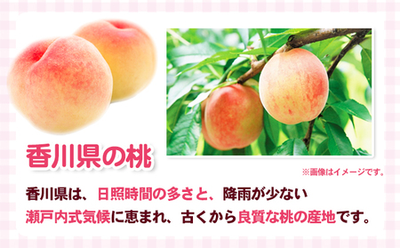 桃 さぬきの桃 讃岐の太陽育ち 瀬戸内 桃【約1.8kg 5〜10玉】 【46311931】