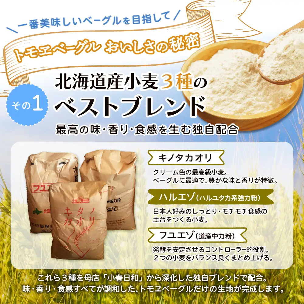 トモヱベーグル「クリームチーズブルーベリー」10個セット【33003101】