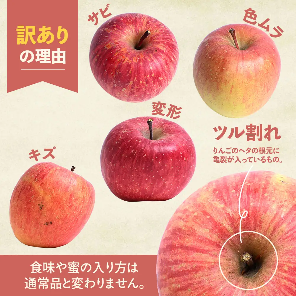 りんご 訳あり 青森県産 サンふじ 約3kg  【高原農園】 りんご