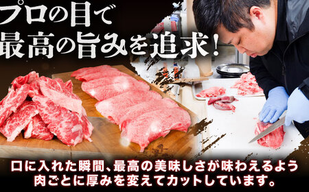 焼肉 希少部位焼肉セット（620g）[AIEF014]