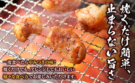 ＜訳アリ＞牛マルチョウ　特製味噌漬け　1.8kg(300g×6）【2026年10月発送】