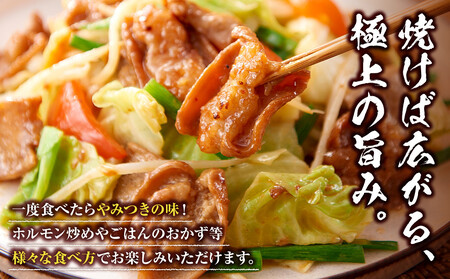 ＜訳アリ＞和牛トロホルモン　特製味噌漬け　0.3kg(300g×1）【2026年10月発送】