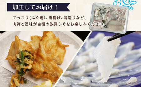『 敦賀ふぐ 1尾分(約600g)  & 敦賀市地酒 月きよし720ml ×1本 』[000-a001]
