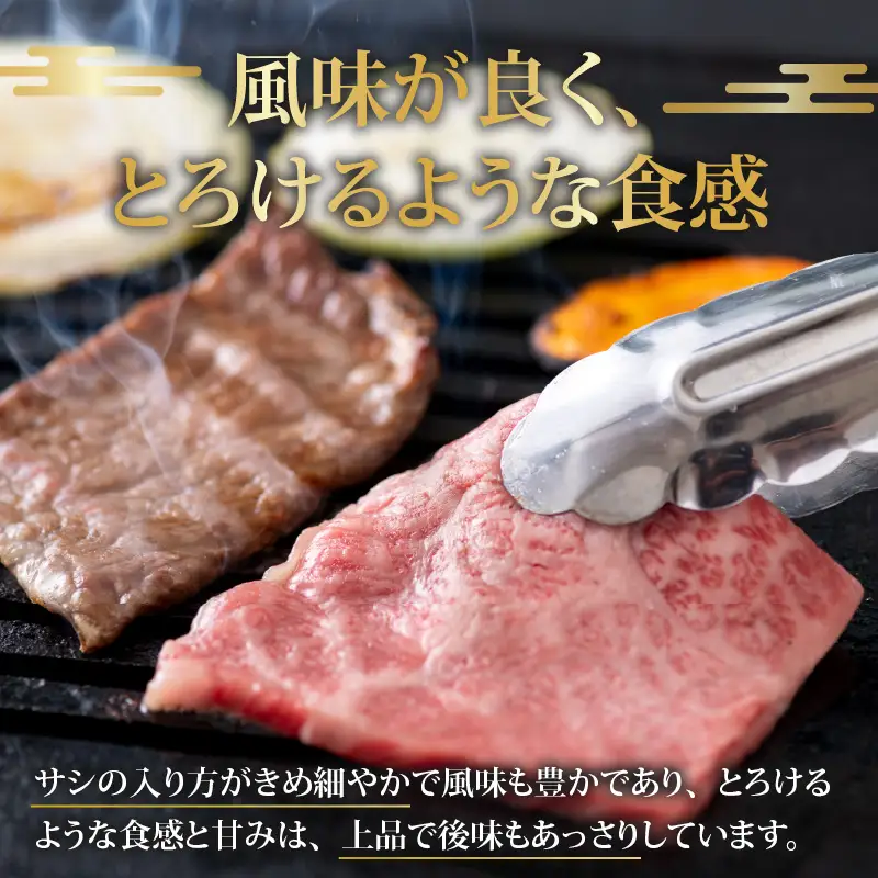 若狭牛 食べ比べ 定期便 12回コース 4等級以上 [O-058002]