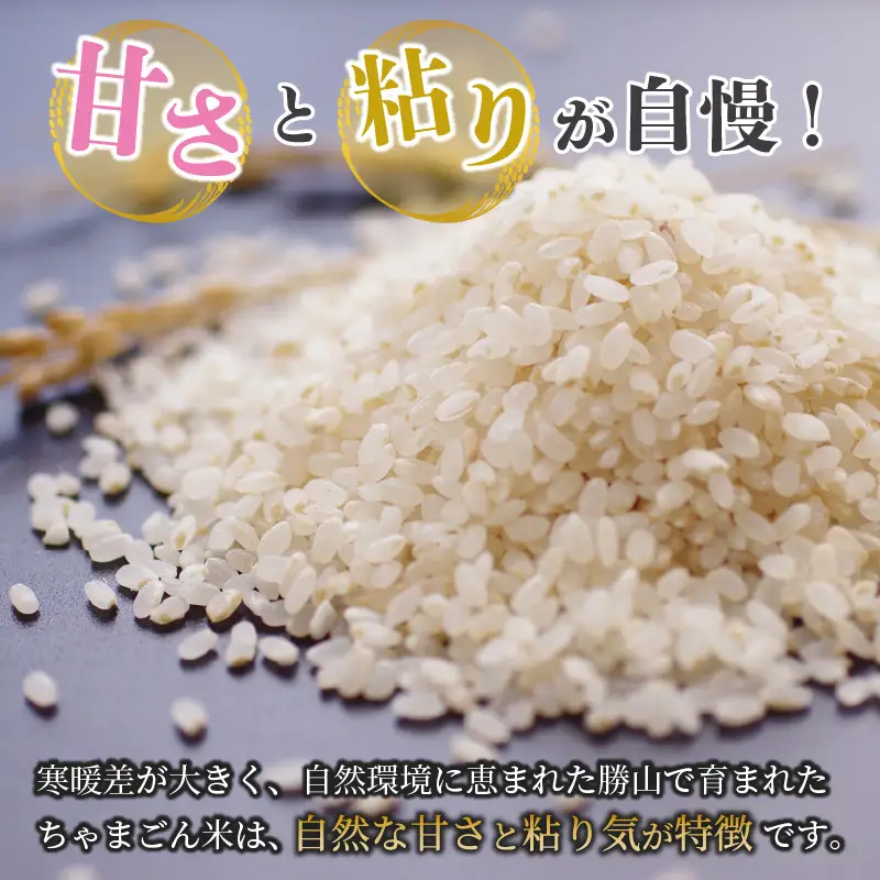 米 コシヒカリ 勝山産 ちゃまごん米 5kg 精米 [A-010004]
