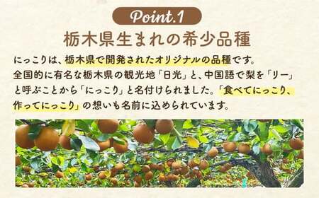 高根沢町産にっこり梨（約5kg・5～8玉入り）| 梨 なし ナシ 果物 くだもの フルーツ 甘い 秋の味覚 産地直送 期間限定 季節限定 季節商品 送料無料 国産 栃木県 高根沢町※2026年10月～発送