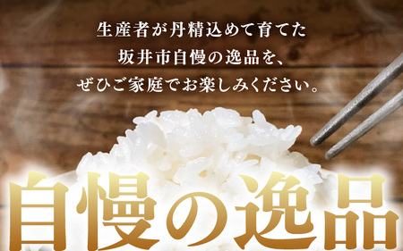 【先行予約】【令和8年産・新米】 坂井市産 コシヒカリ 白米 5kg (アグリ川崎) 【2026年10月以降順次発送予定】 精米 おこめ [A-20509]