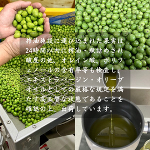 オリーブオイル 100ml ×1本 エキストラバージンオリーブオイル 国産
