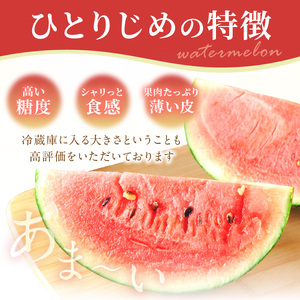 やまの農園 「ひとりじめ」キングサイズ 2玉≪先行予約≫【2027年6月中旬より順次発送予定】【1265-1】