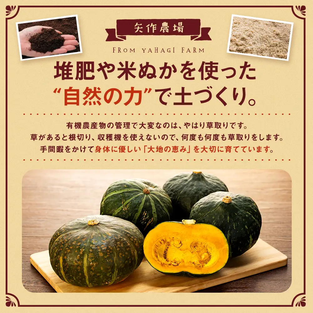 【先行受付】R8年産 有機栽培かぼちゃ 10kg | かぼちゃ カボチャ 南瓜 大容量 パンプキン 甘い 有機栽培 国産 産地直送 北海道 津別町 送料無料