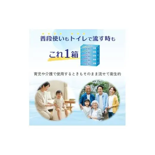 エルモア 水に流せるティシュー 60箱 5個×12パック ティッシュ ティッシュペーパー ボックスティッシュ 日用品 消耗品 備蓄 防災 愛媛県 四国中央市