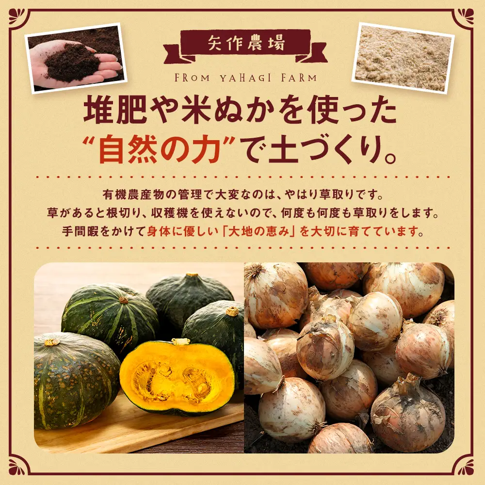 【先行受付】R8年産 有機栽培玉ねぎ・かぼちゃセット 合計20kg | 玉ねぎ たまねぎ タマネギ 玉葱 かぼちゃ カボチャ 南瓜 セット 詰め合わせ 大容量 オニオン パンプキン 甘い 有機栽培 国産 産地直送 北海道 津別町 送料無料