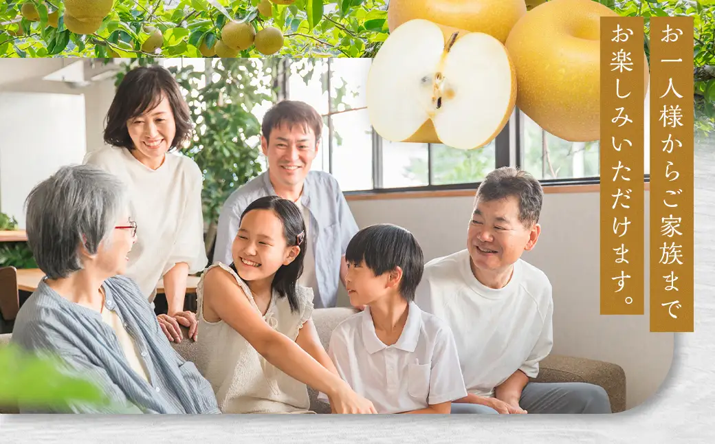 幸水梨 約1.2kg～1.5kg 3玉 【よらん野】【2026年7月下旬から8月下旬発送予定】 ナシ なし 梨 フルーツ くだもの 果物 果実 3玉
