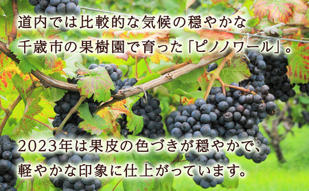 千歳ワインピノノワール2023 （Chitose Wine PINOT NOIR2023）750ml 1本※ギフトボックス無し
