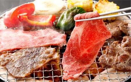 なぎビーフ ステーキ 約300g（約300g×1）＆ 焼肉カット 約600g（約300g×2）計約900g 肉 お肉 牛肉 牛 ステーキ 焼肉 焼き肉 冷凍 岡山県 倉敷市